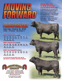 2009 Bull Sale Ad