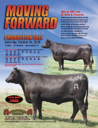 2009 Female Sale Ad
